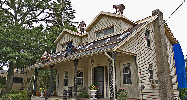 Best Roof Maintenance Services  in Nashotah, WI