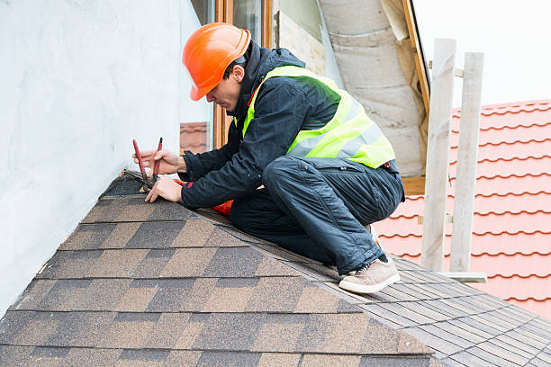 Best Sealant for Roof  in Nashotah, WI