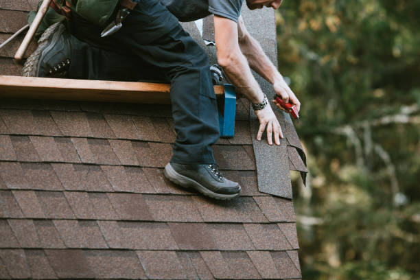 Best Sealant for Roof  in Nashotah, WI